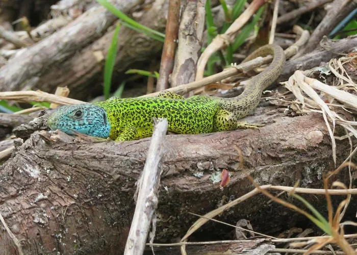 Apartment Raio Do Sol - Turistico
