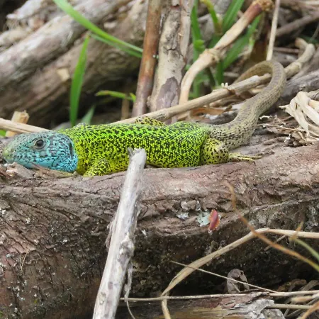 Apartman Raio Do Sol - Turistico