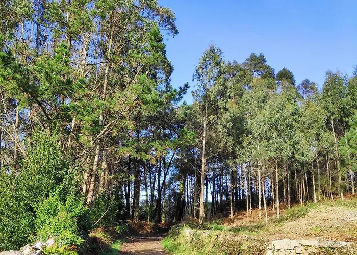 Raio Do Sol - Turistico * מוחיה